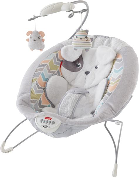 Fisher-Price Playtime Bundle, Sit-Me-Up Floor Seat and Work from Home Gift Set, 3 Activity Toys for Baby dummy BabyBjrn Bouncer Balance Soft, CottonJersey, Dark GrayGray (005084US). . Fisher price snugapuppy bouncer